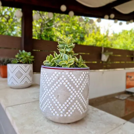 Dom wakacyjny House Petra 1 *